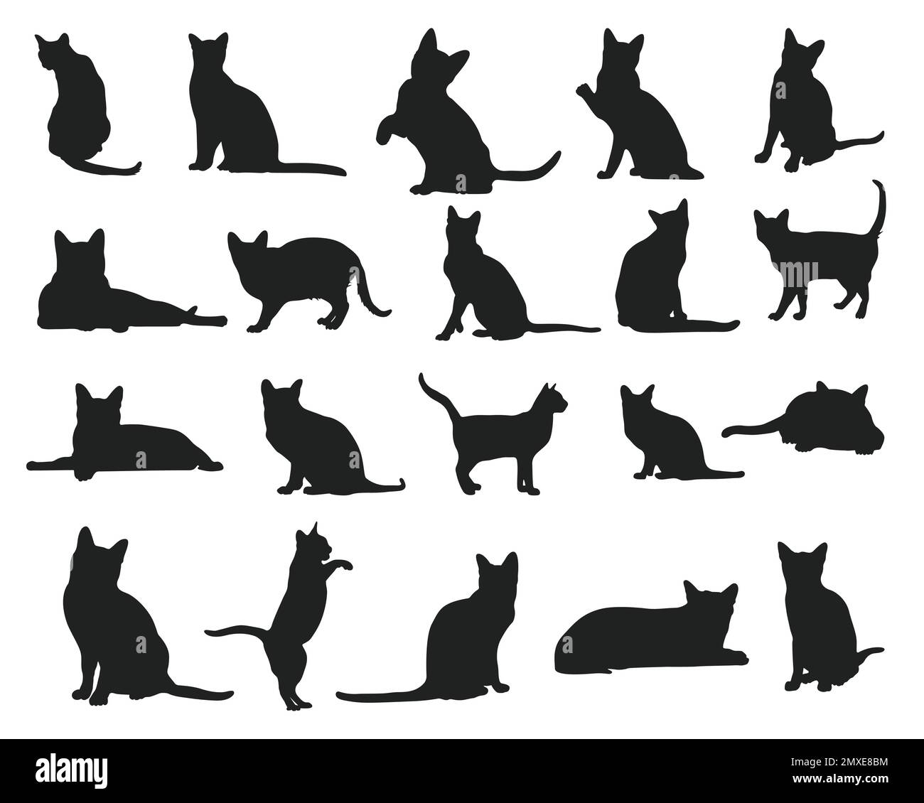 Korat cat animal silhouettes, Cats silhouette collection. Stock Vector