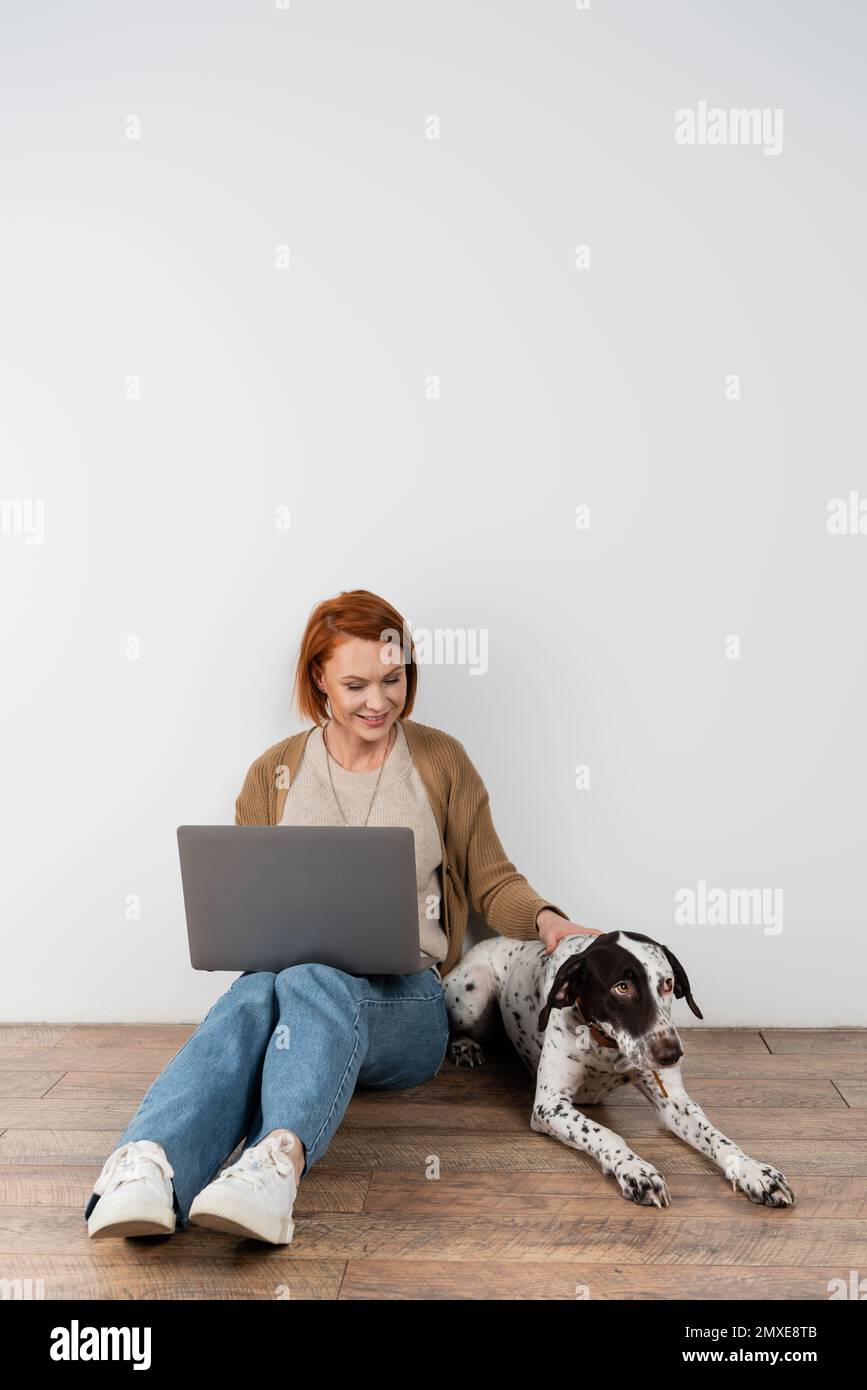 Smiling freelancer with laptop petting dalmatian at home,stock image Stock Photo