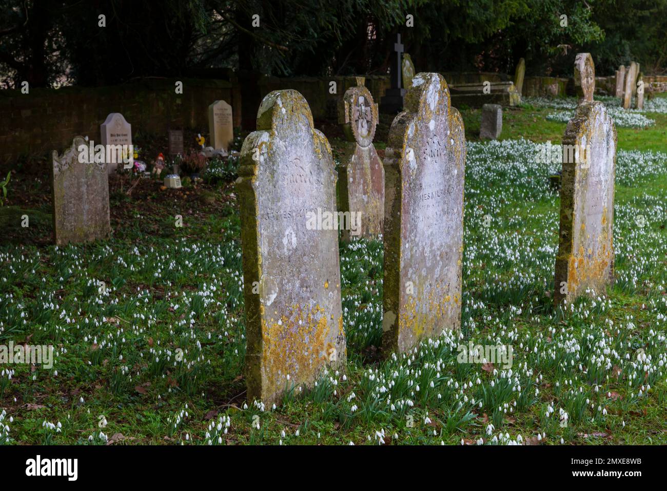 Breamore, Fordingbridge, Hampshire UK. 3rd February 2023. UK weather