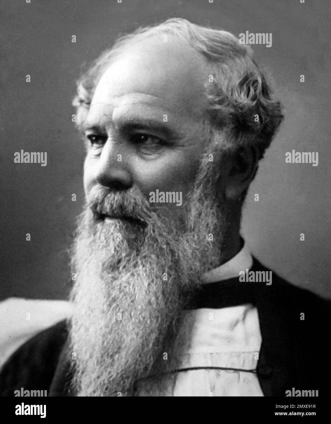 John Charles Ryle, Bishop of Liverpool, Victorian period Stock Photo