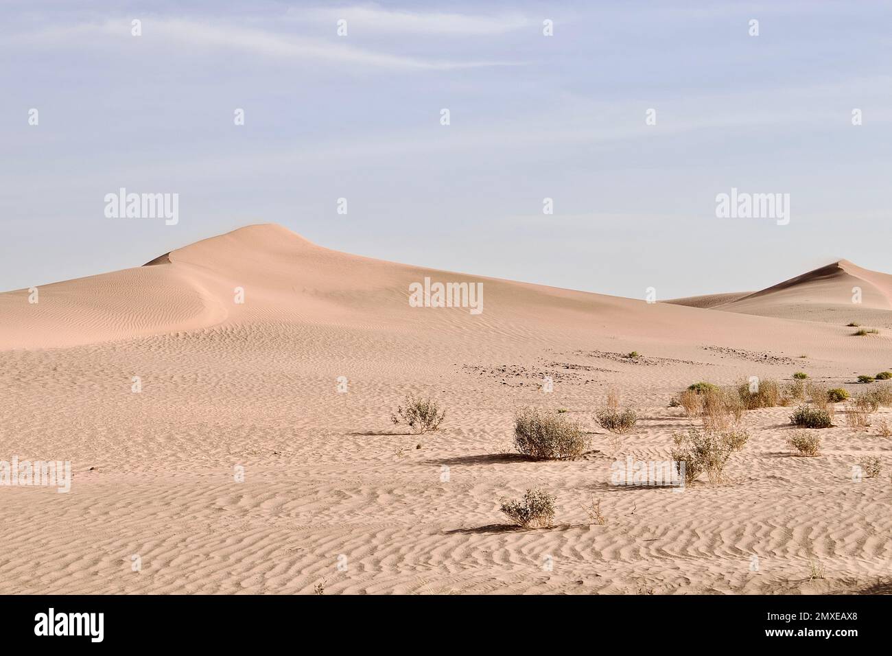 a Beautiful barren sandy dune Stock Photo