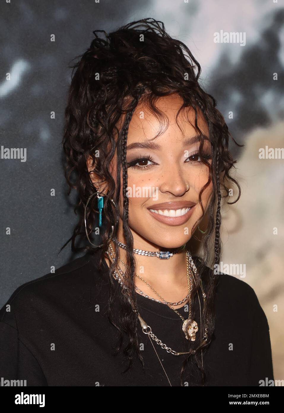 Los Angeles, California, USA. 2nd Feb, 2023. Tinashe. Stella McCartney ...