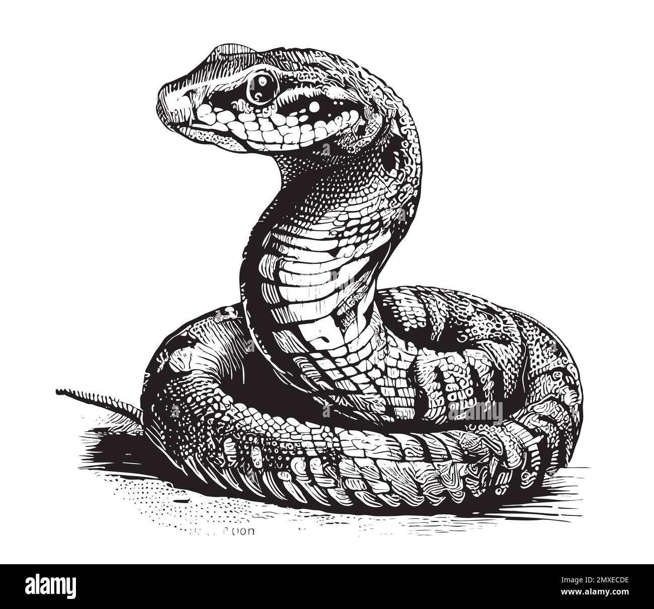 Cobra snake hand drawn sketch Reptile illustration Stock Vector Image ...