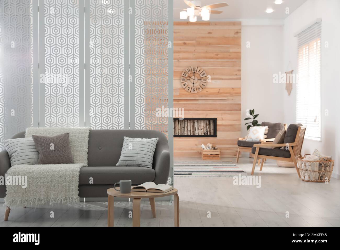 Modern living room interior with stylish furniture Stock Photo - Alamy