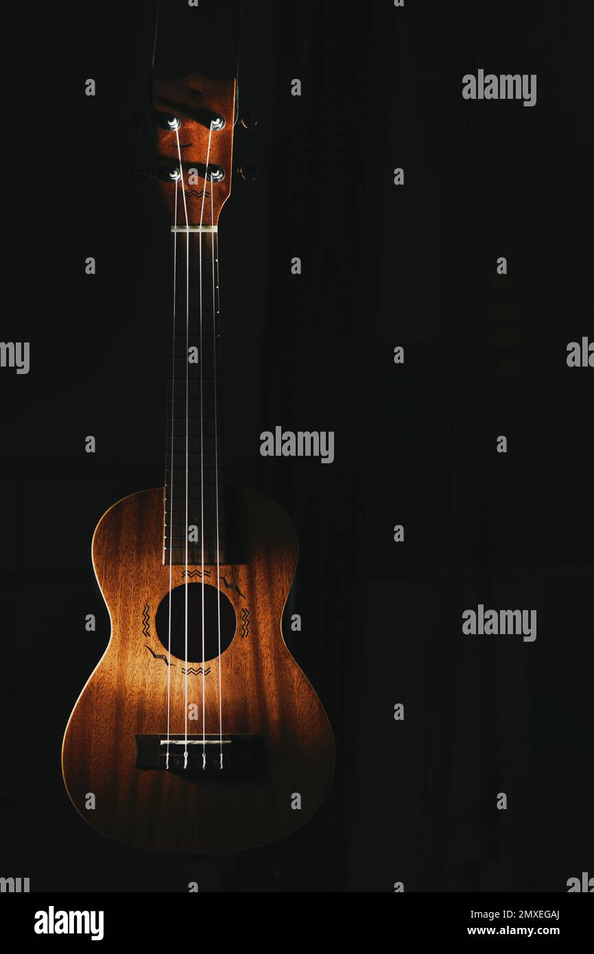 Ukulele stringed musical instrument on black background Stock Photo Alamy