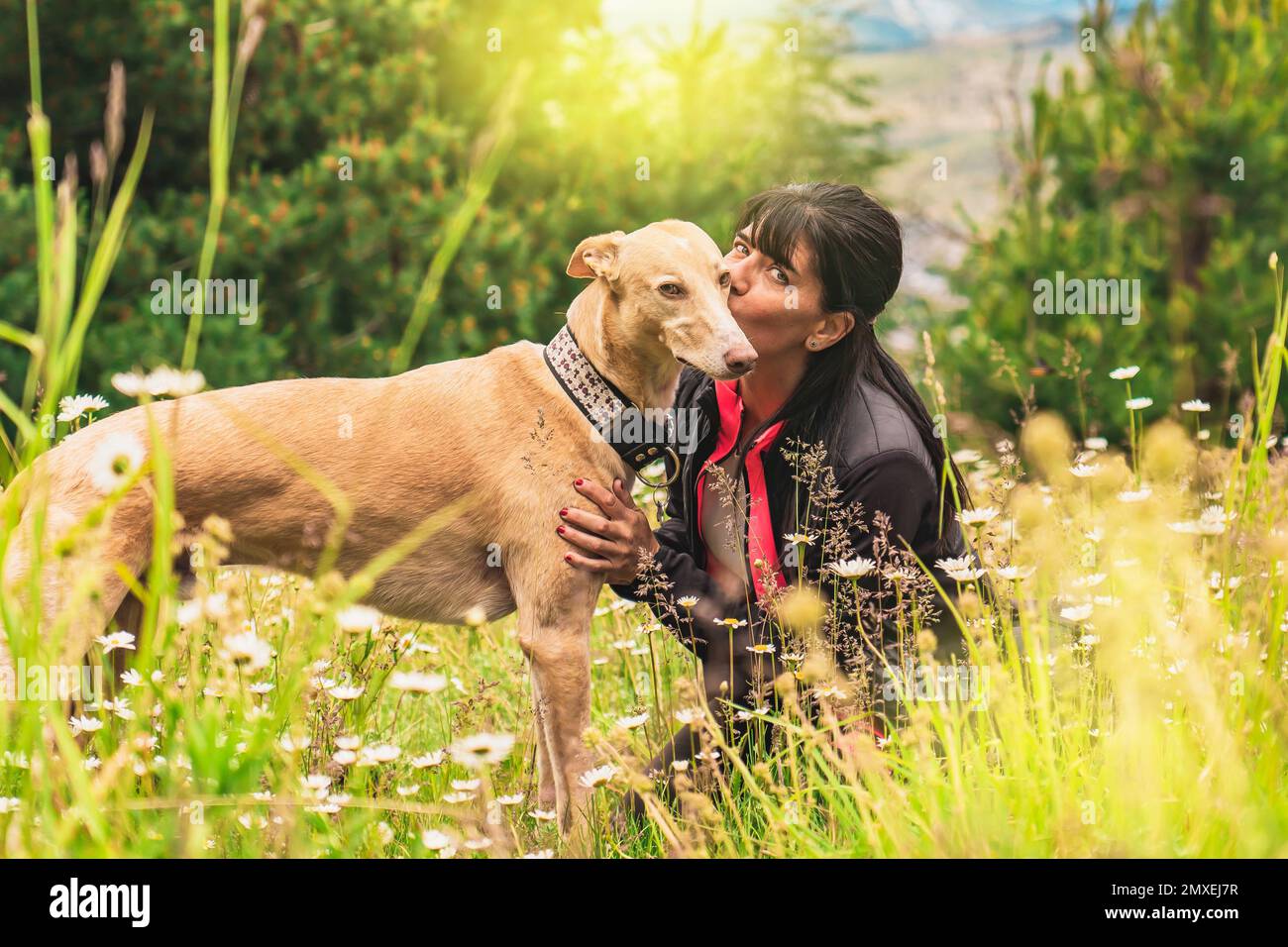 Beautiful woman kissing her dog outdoors Girl with her dog Cute dog Beautiful woman kissing her dog outdoors Girl with her dog Cute dog