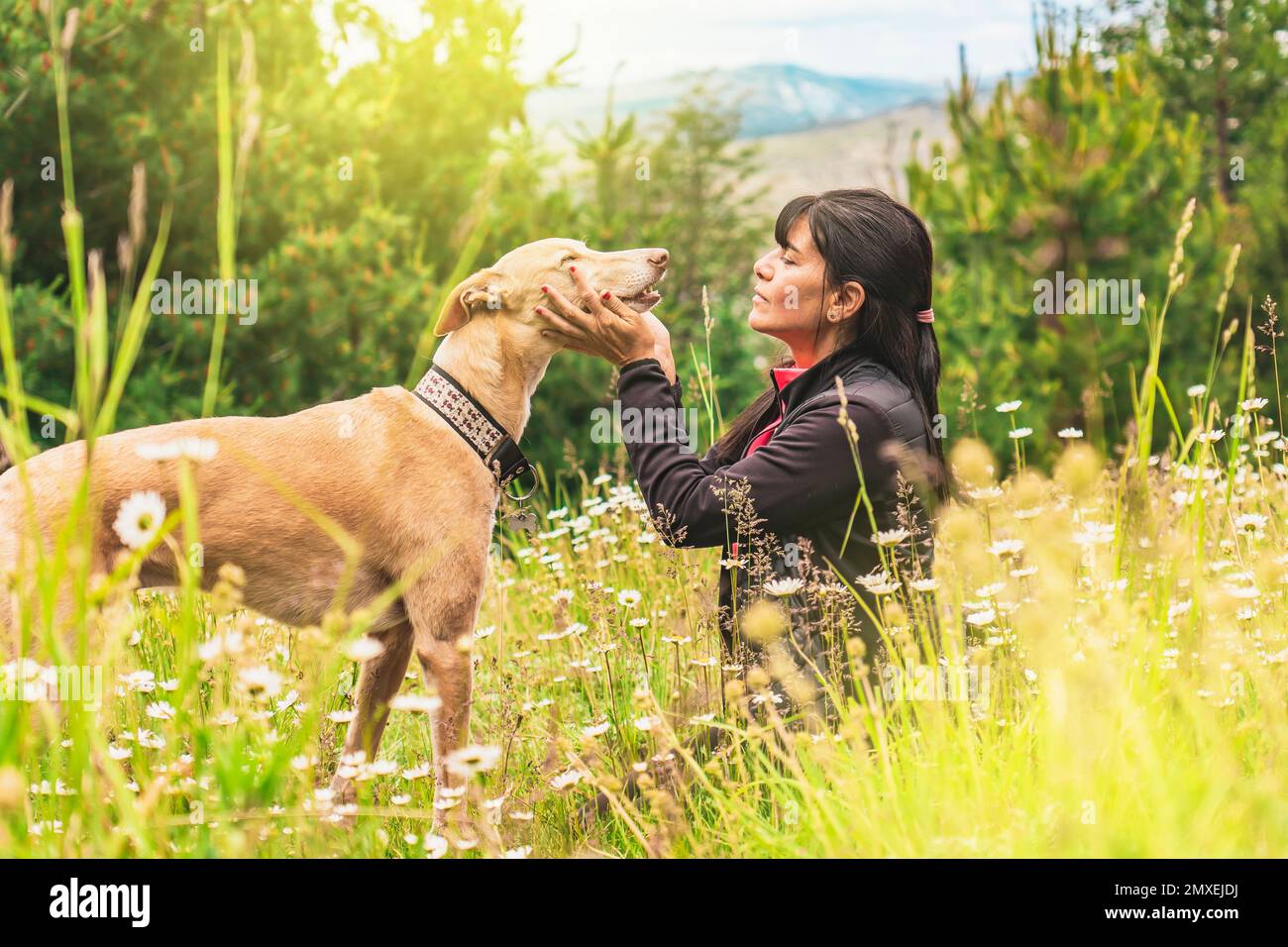 Latin woman and her dog together. Friendship between dog and pet owner. Woman sitting with her greyhound in nature. Stock Photo