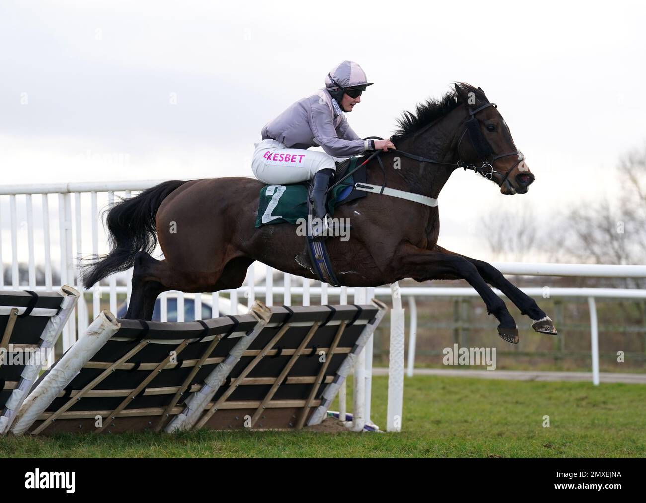 Famille Vert ridden by Emma Smith-Chaston in the Andrew Dowson 50th ...