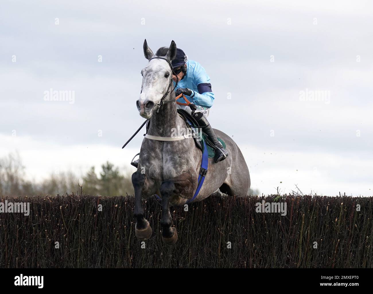 Snowy Clouds ridden by Sean Quinlan on their way to winning the Andrew Dowson 50th Birthday Fillies' Juvenile Hurdle at Catterick Bridge Racecourse. Picture date: Friday February 3, 2023. Stock Photo