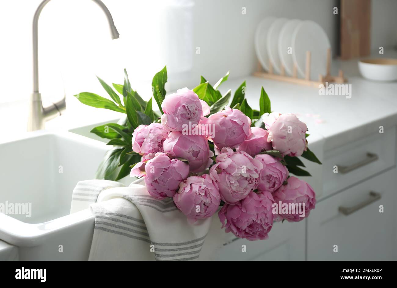 Bouquet of beautiful pink peonies in kitchen sink Stock Photo - Alamy