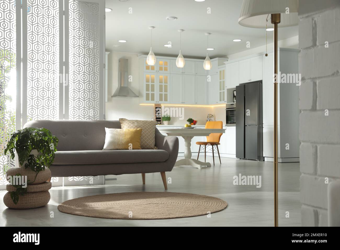 Stunning Stylish Apartment Interior Design With Metallic Cabinets image