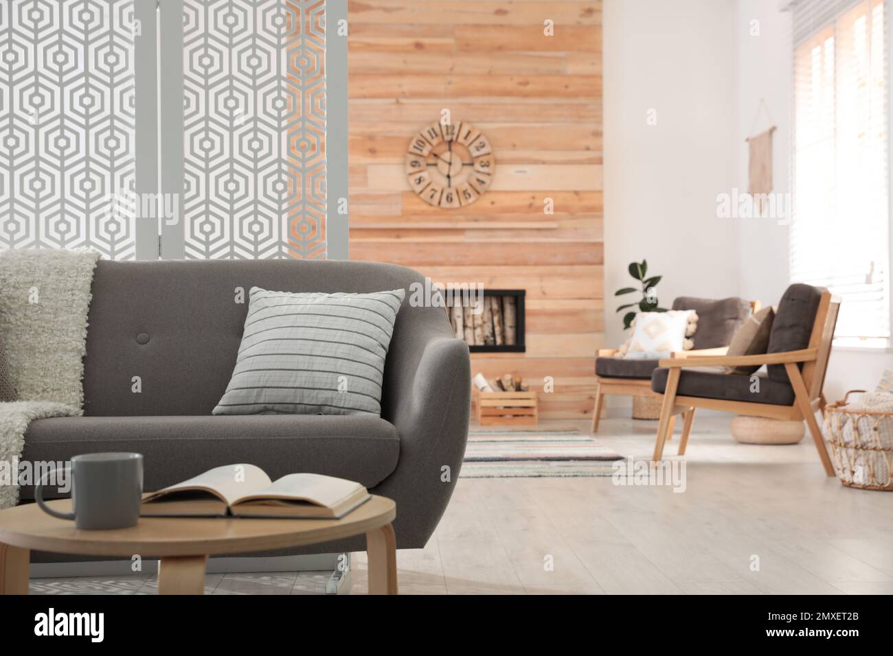 Modern living room interior with stylish furniture Stock Photo - Alamy
