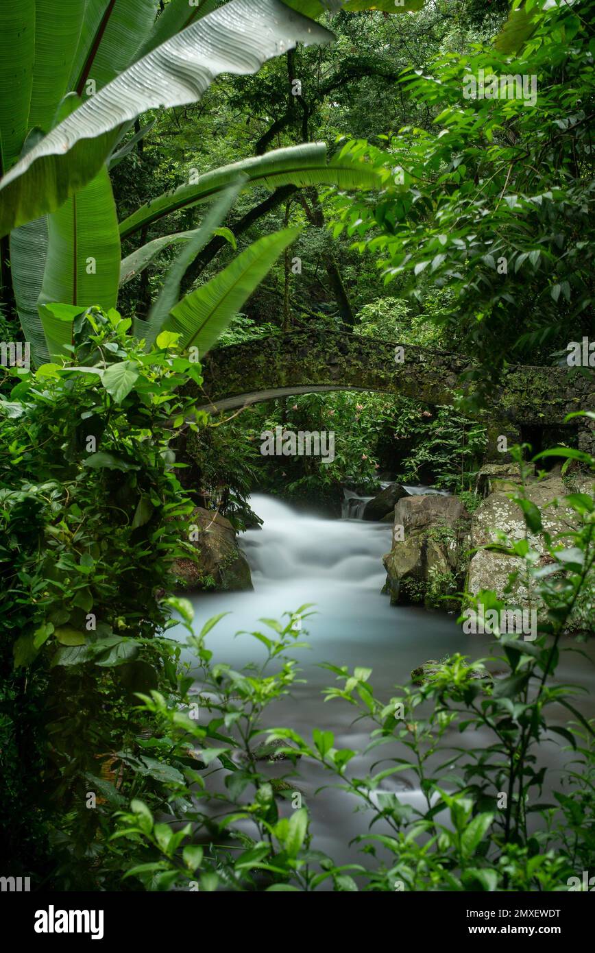 A vertical long exposure shot of a river surrounded by trees in the Uruapan National Park, Mexico. Stock Photo