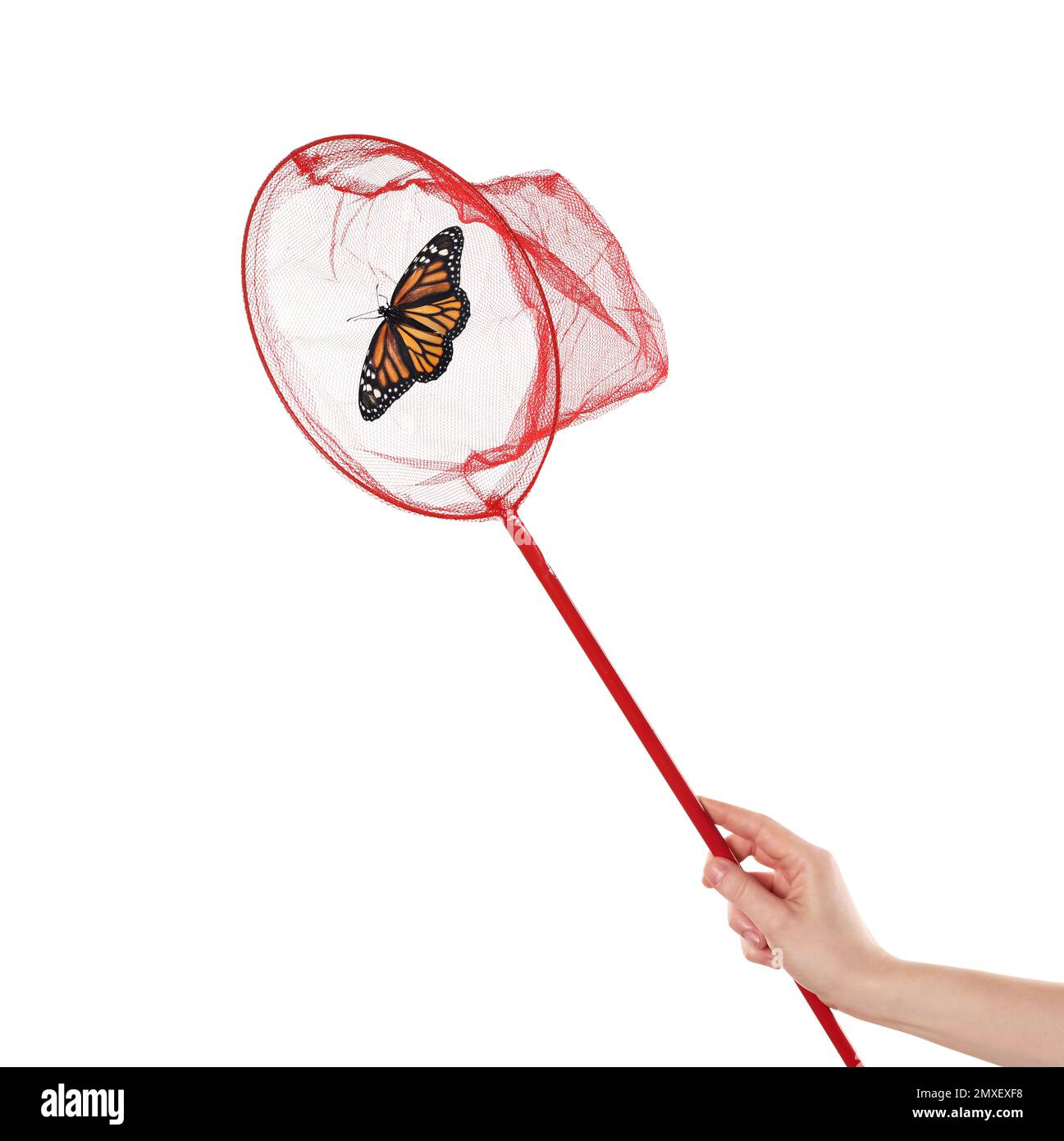 Woman catching butterfly with net on white background, closeup Stock Photo