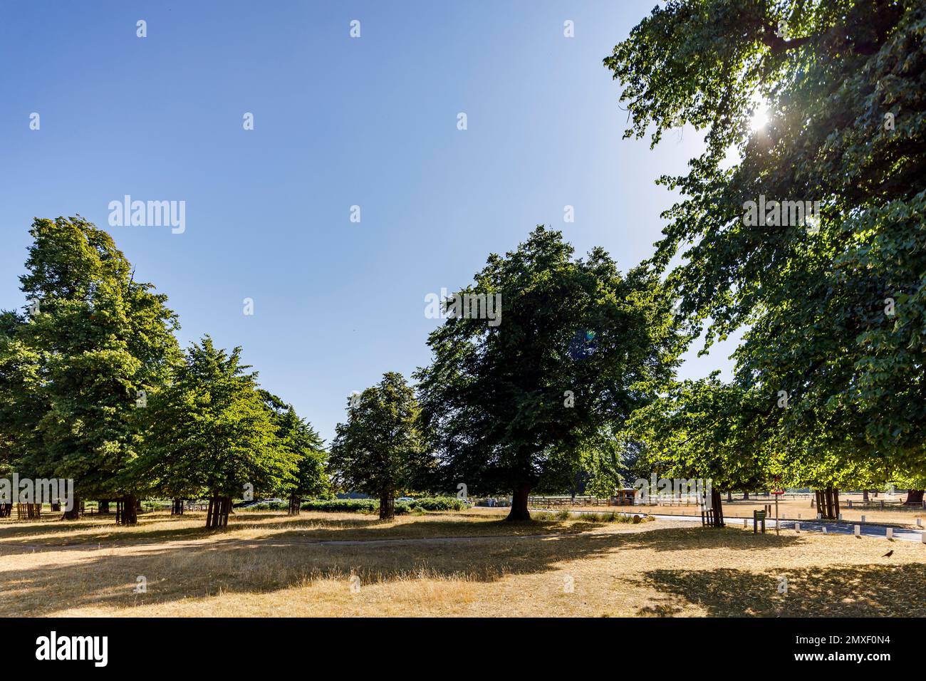 Tolworth & Kingston upon Thames Local area shoot Stock Photo Alamy