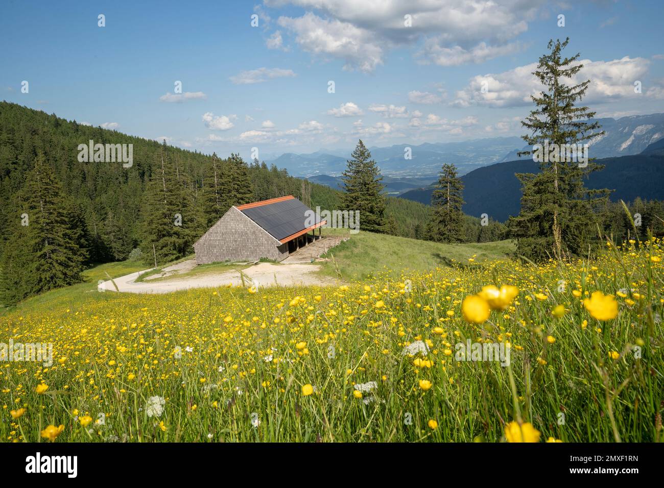 gebiet-der-stoi-er-alm-auf-dem-teisenberg-im-grenzgebiet-der-gemeinden