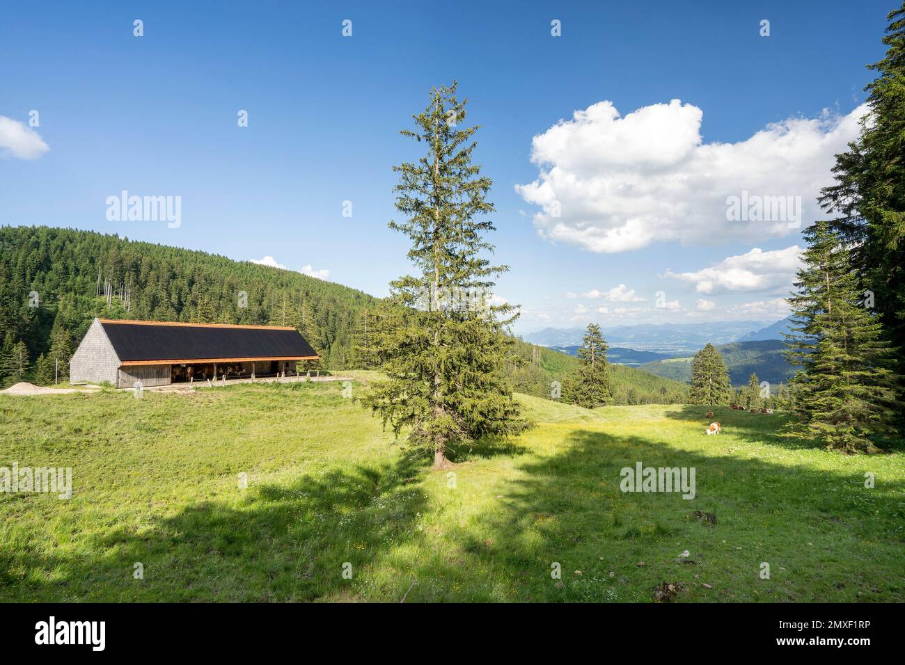 gebiet-der-stoi-er-alm-auf-dem-teisenberg-im-grenzgebiet-der-gemeinden