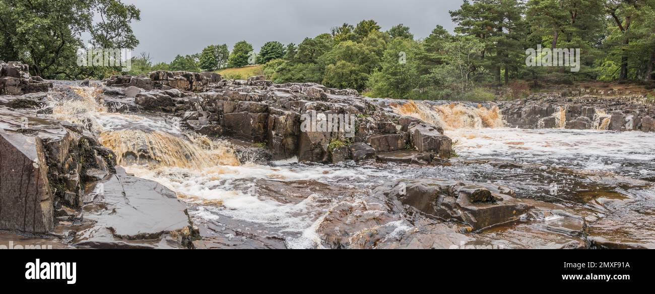 Heavy overnight rain has swollen the River Tees as it comes over the hosreshoe shaped cascade just above the main Low Force waterfall. Taken from the Stock Photo
