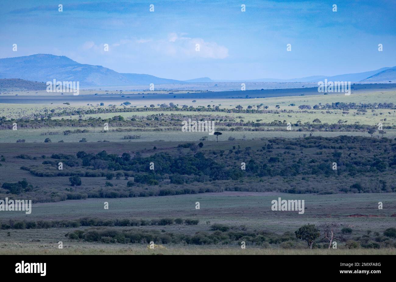 landscape, savannah, Masai Mara National Park, Kenya Stock Photo