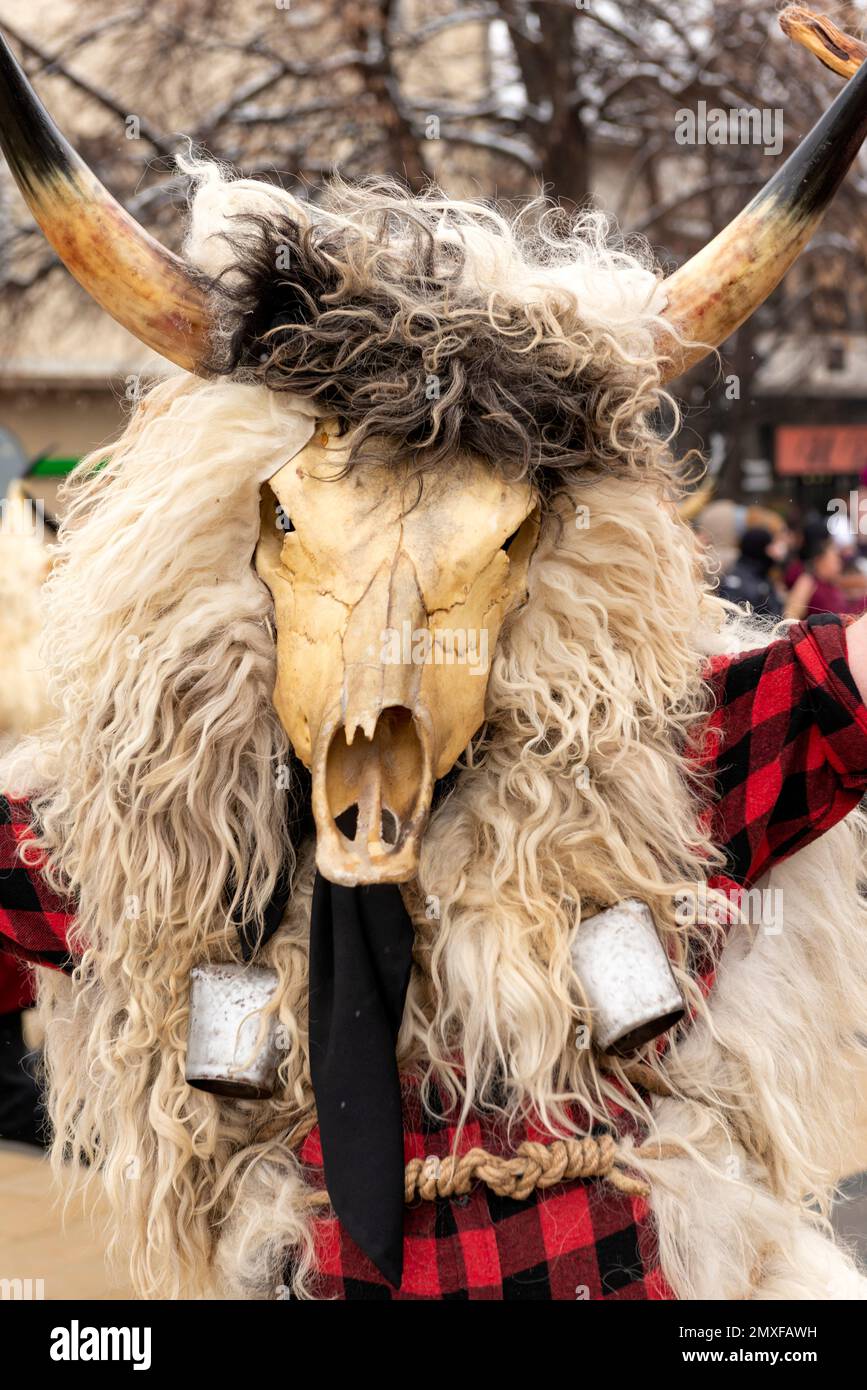 Masked dancer from Croatia with animal skull mask at the Surva International Masquerade and Mummers Festival in Pernik, Bulgaria, Easter Stock Photo
