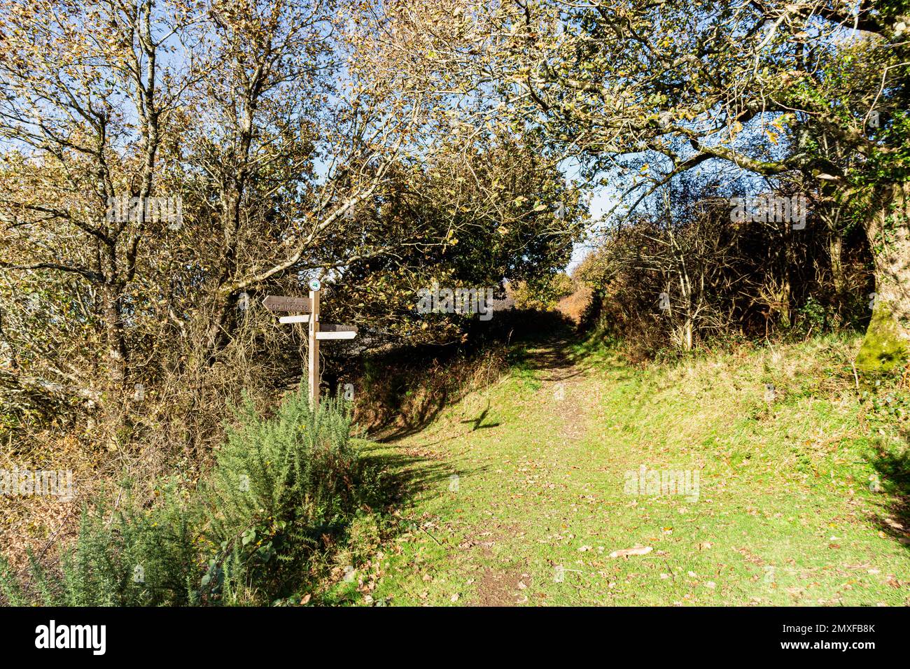 Footpath View on Torrington Common Land With Wooden Signpost Pointing