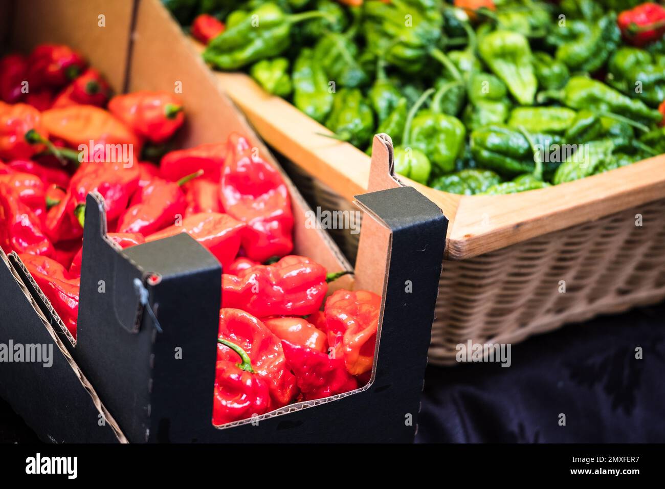 Hot organic chilli peppers on sale at the annual Waddesdon Manor Chilli