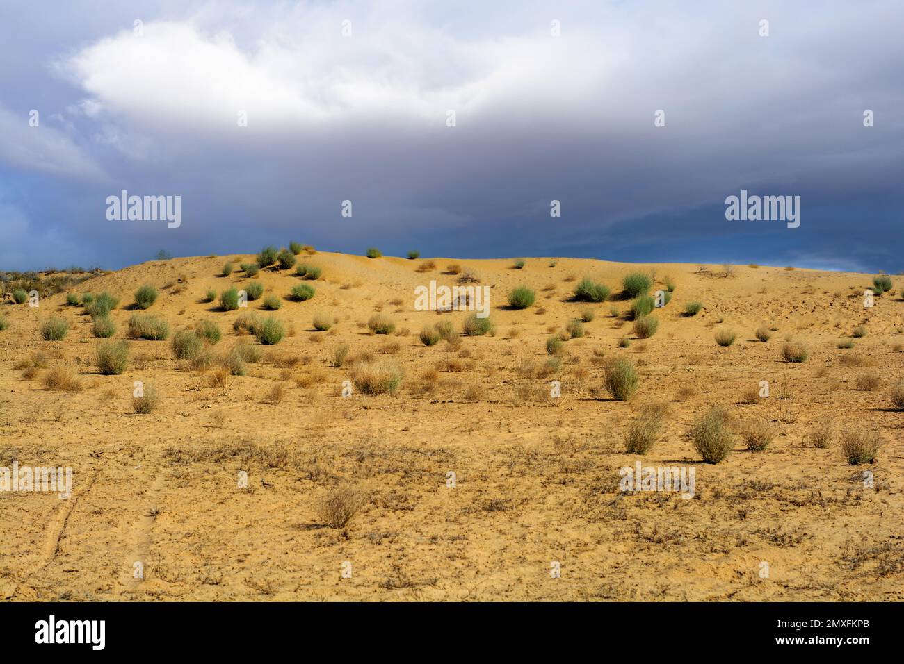 Stormy weather in the Thar desert Stock Photo Alamy