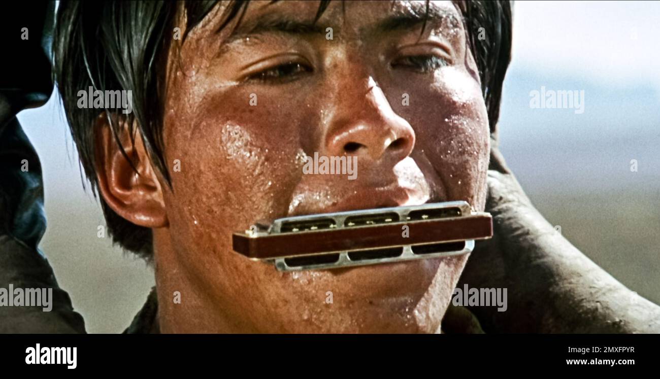 Harmonica time cheap