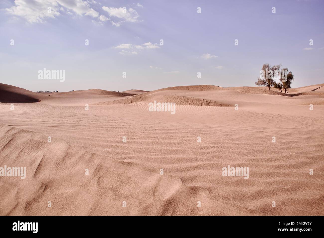 A daytime view of the sand dunes in a desert Stock Photo - Alamy