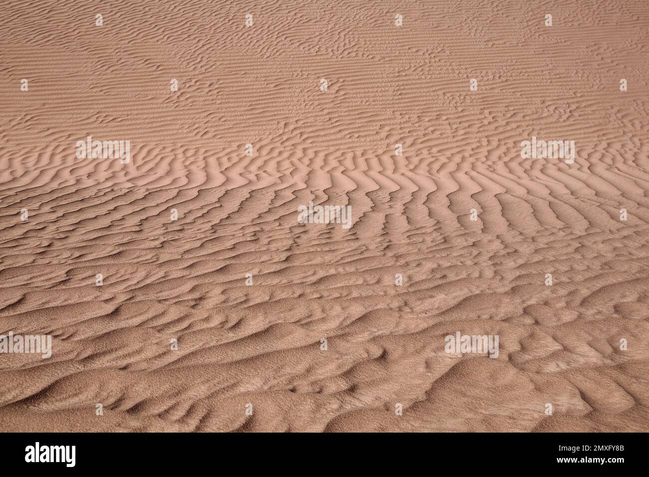 A daytime view of the sand dunes in a desert Stock Photo - Alamy