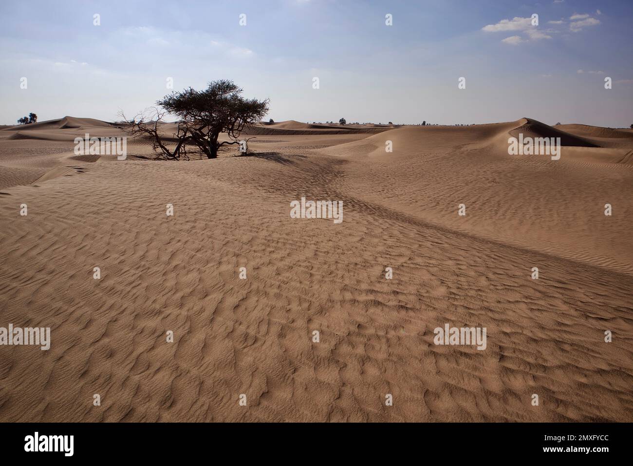 A daytime view of the sand dunes in a desert Stock Photo - Alamy