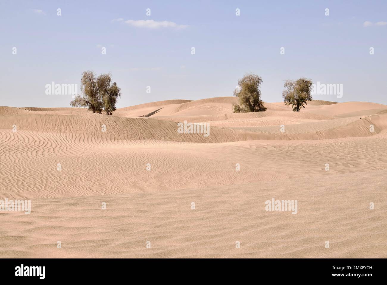 A daytime view of the sand dunes in a desert Stock Photo - Alamy