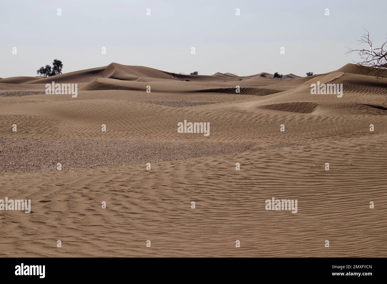 A daytime view of the sand dunes in a desert Stock Photo - Alamy