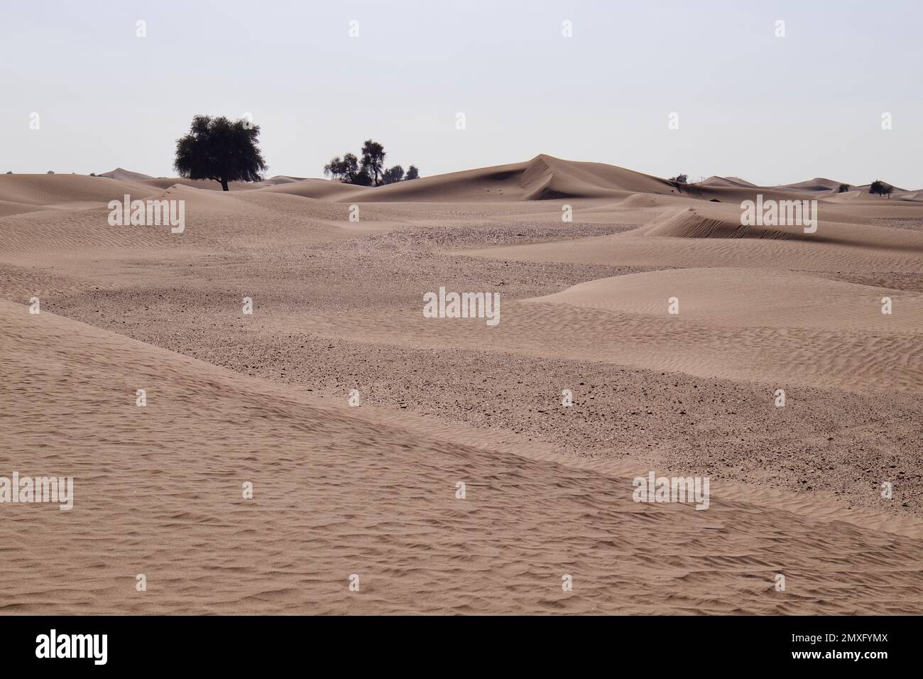 A daytime view of sand dunes in a desert Stock Photo - Alamy