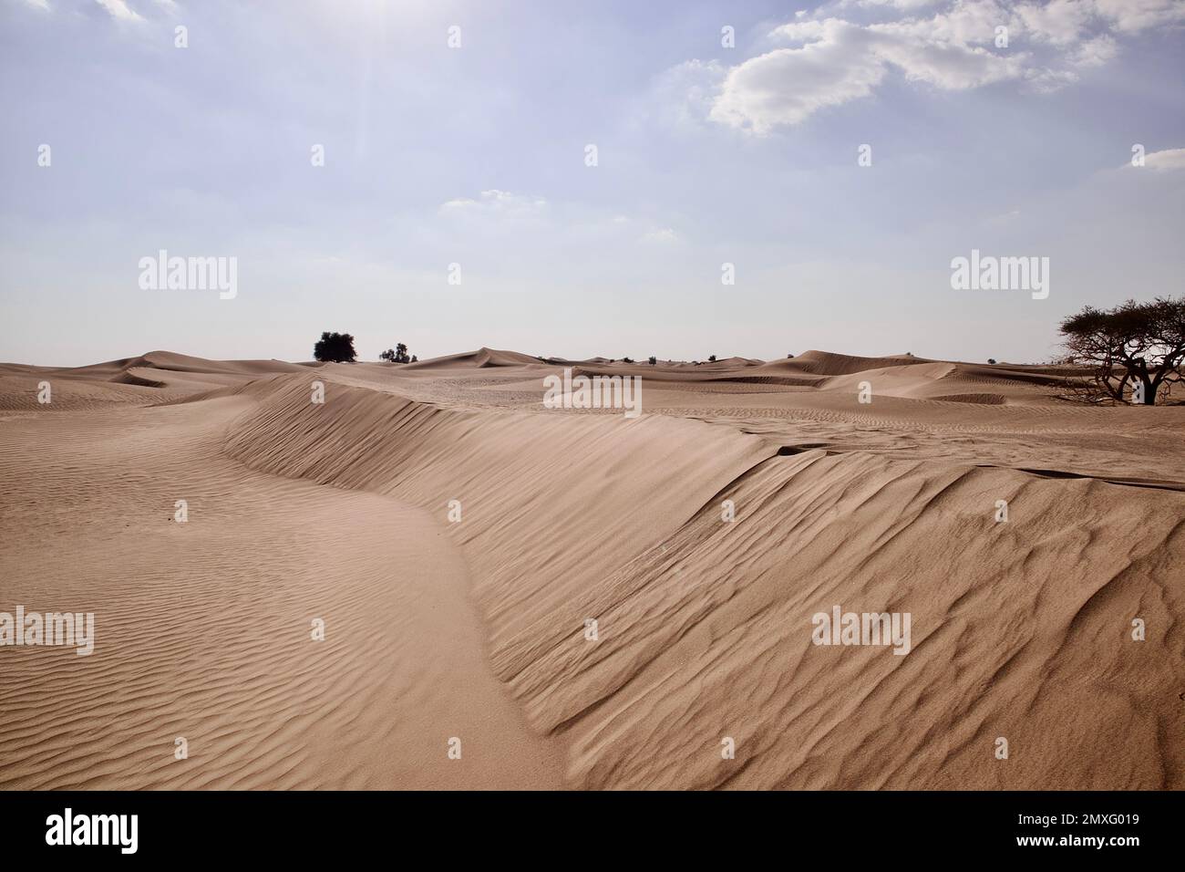 A daytime view of sand dunes in a desert Stock Photo - Alamy