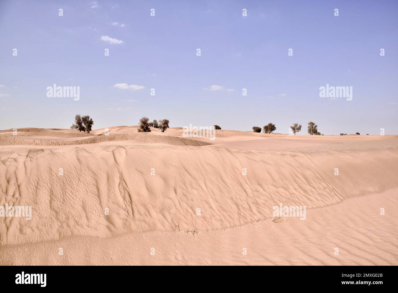A daytime view of sand dunes in a desert Stock Photo - Alamy