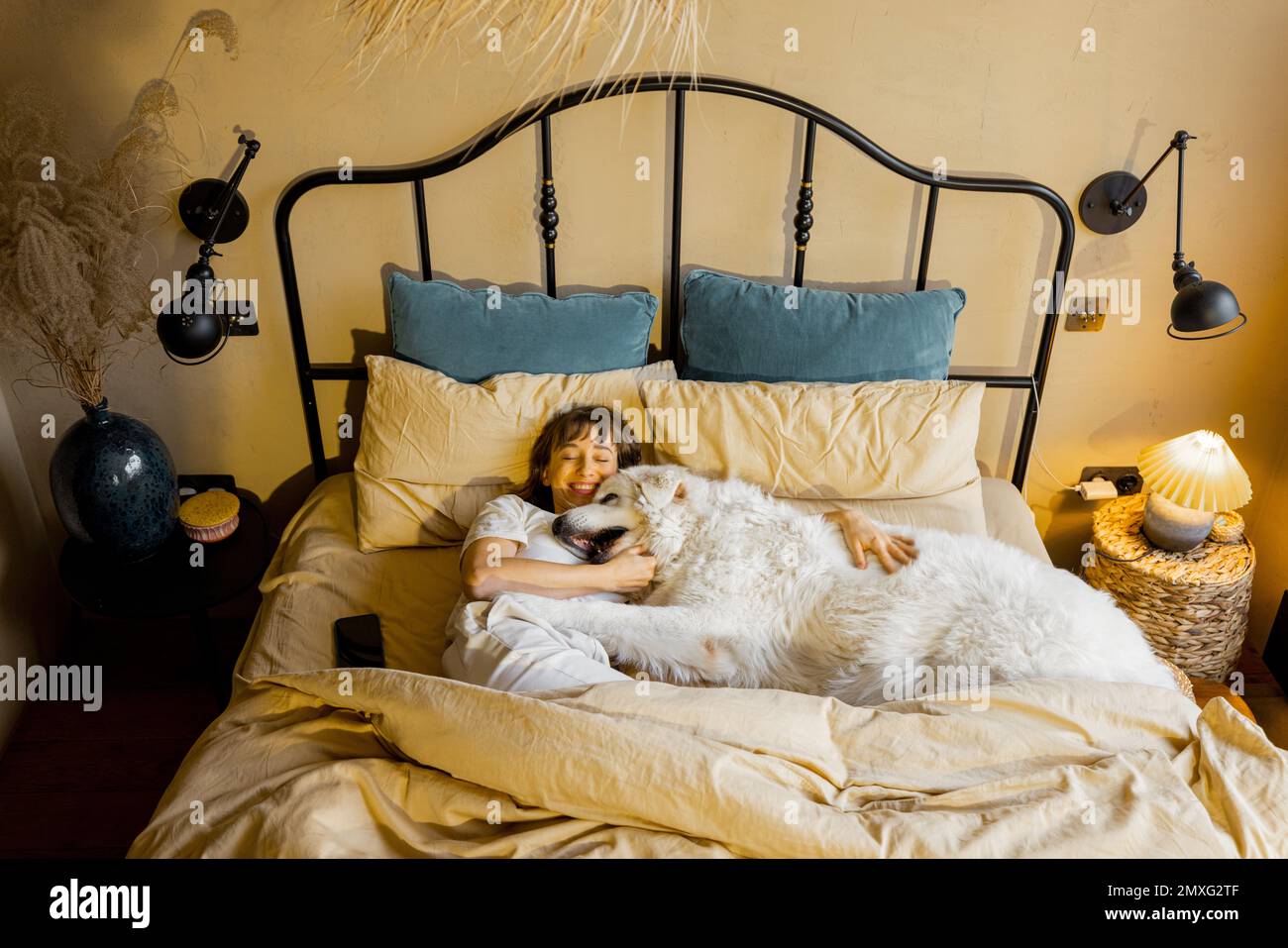 Woman sleeps with her huge and cute dog in bed Stock Photo - Alamy