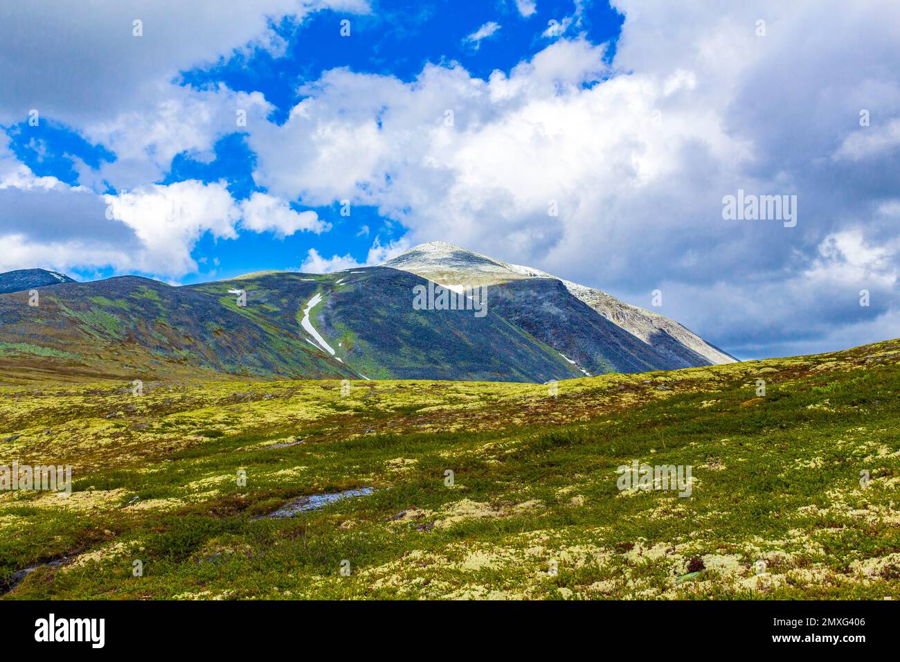 Beautiful mountain and landscape panorama with untouched nature rivers ...