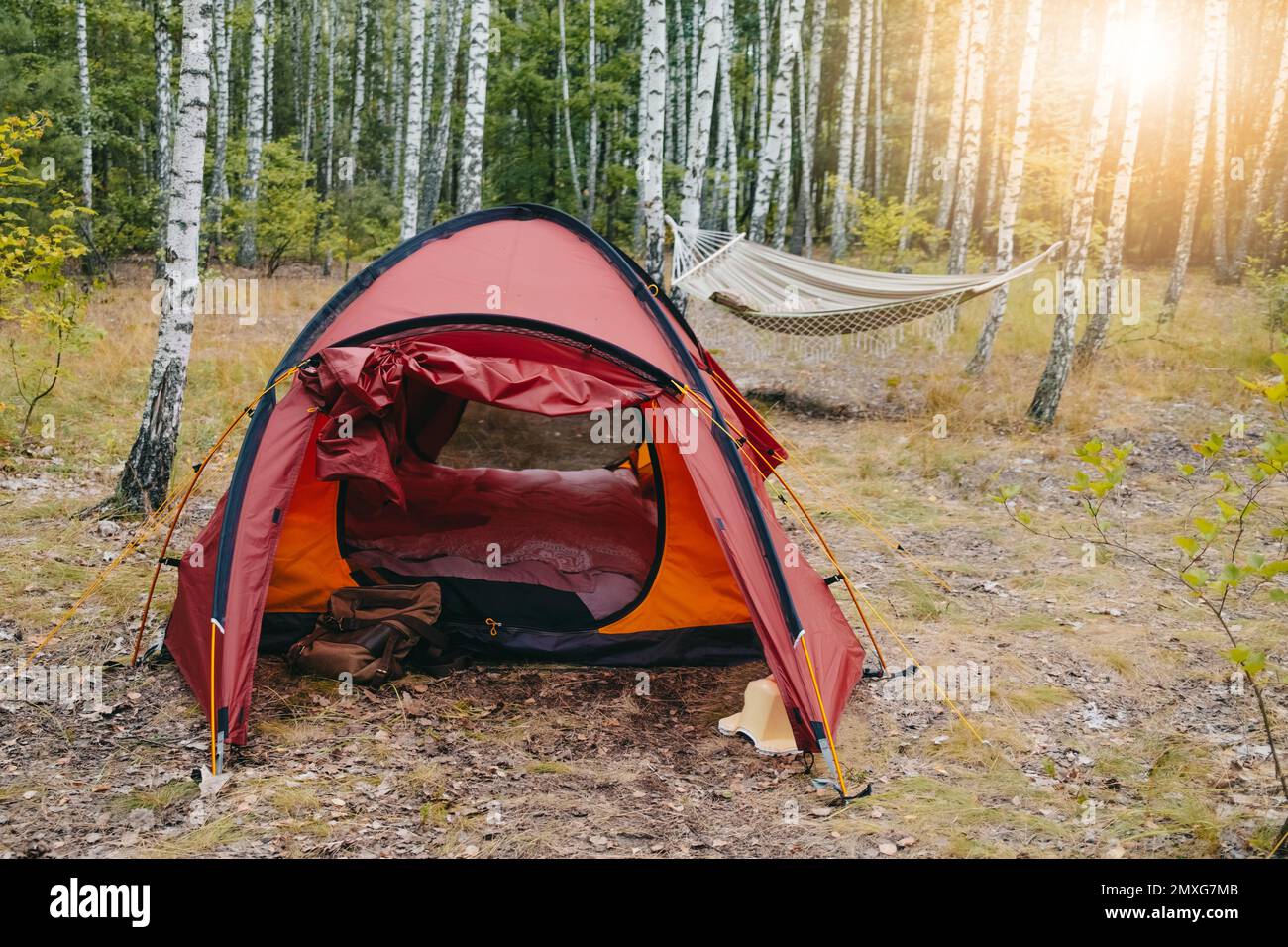 Camping red tent in birch grove. Hammock, sunset light. Adventure,travel,leisure. High quality photo Stock Photo
