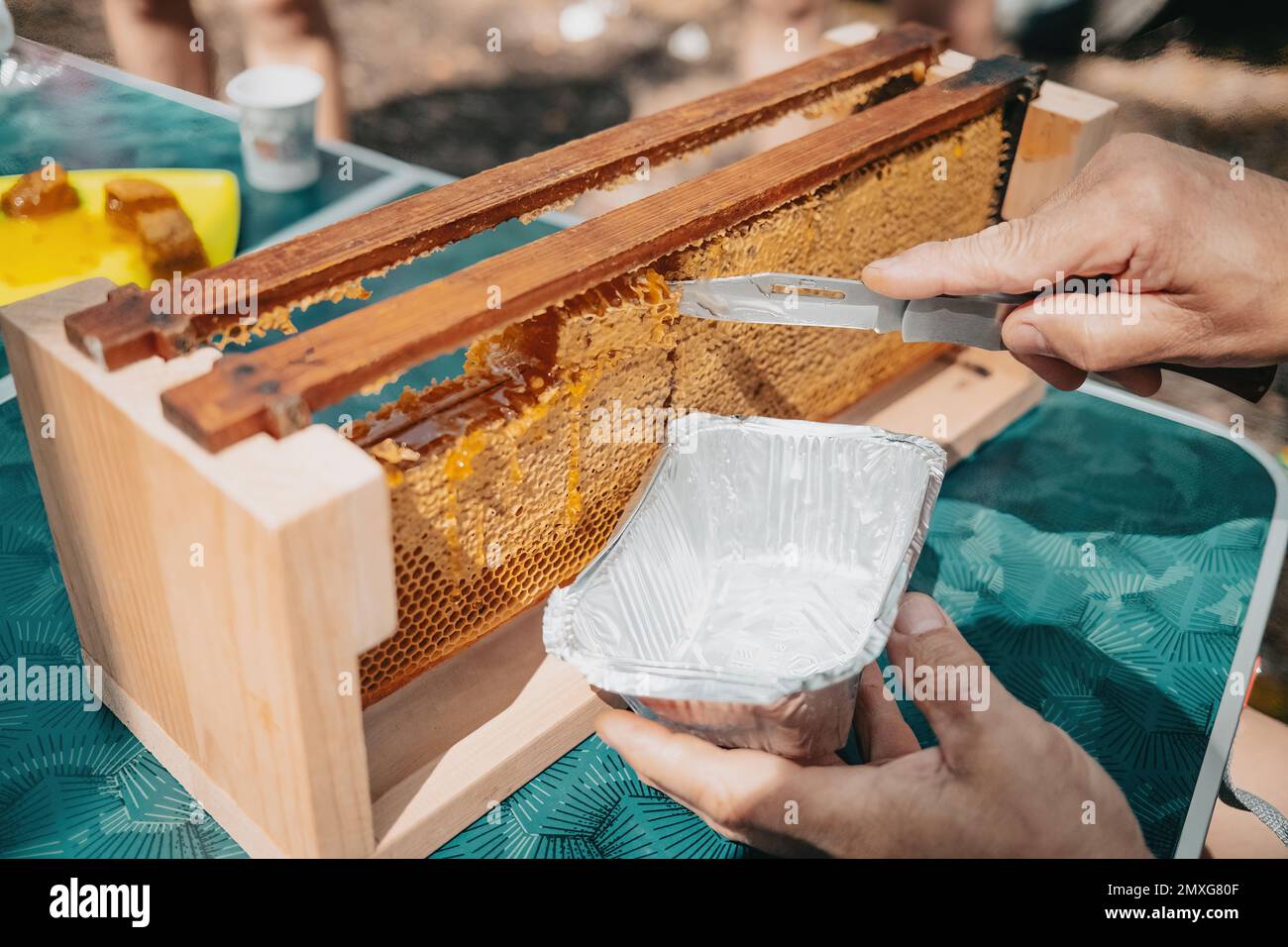 Knife cuts off sealed honeycomb and sweet honey flows out of it. Production of nectar in apiary. Manual labor, insect care. Beekeeping culture concept Stock Photo