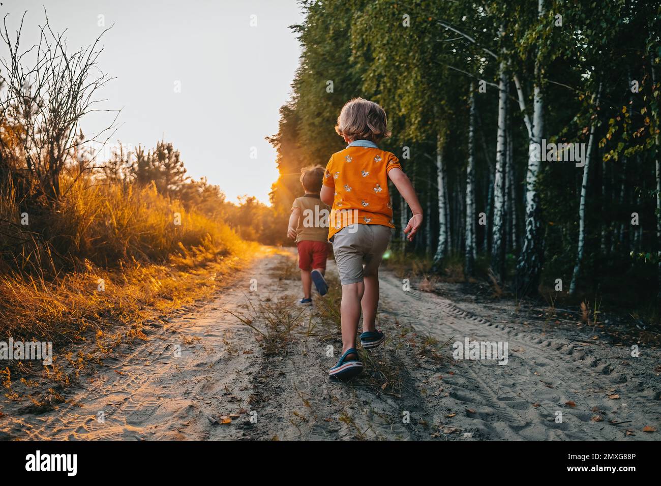 Cute kids, boys runs at summer nature road. Brothers, playing outdoors. Sunset. Happy childhood. High quality photo Stock Photo