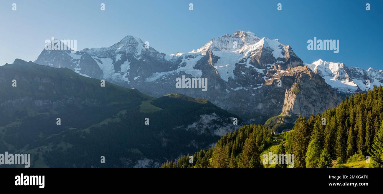 The panorama of Bernese alps with the Jungfrau, Monch and Eiger peaksin the morning light. Stock Photo