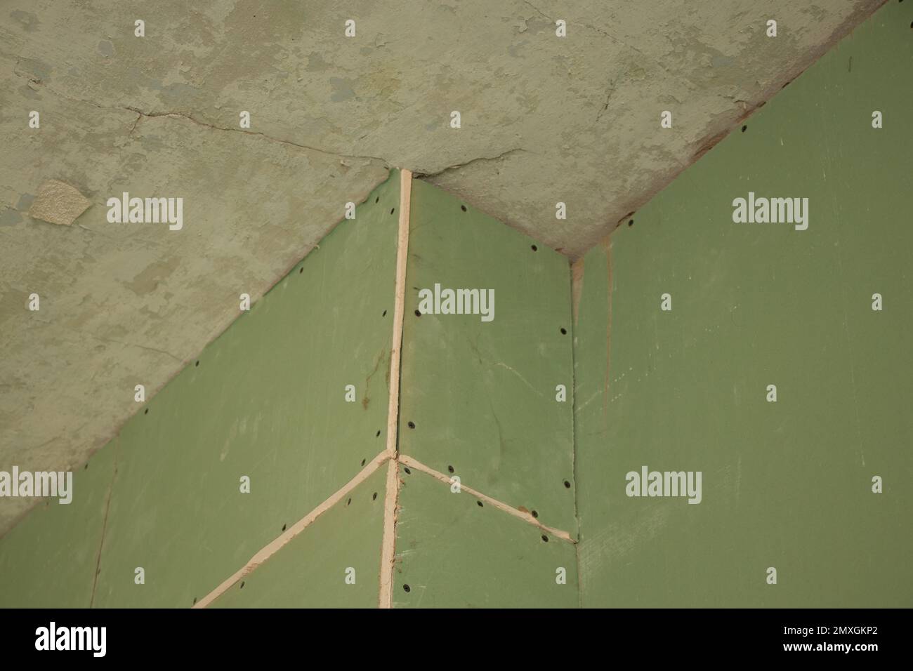 Image showcasing A Tiny Galley Kitchen Gets a Dreamy Green Renovation | Apartment Therapy