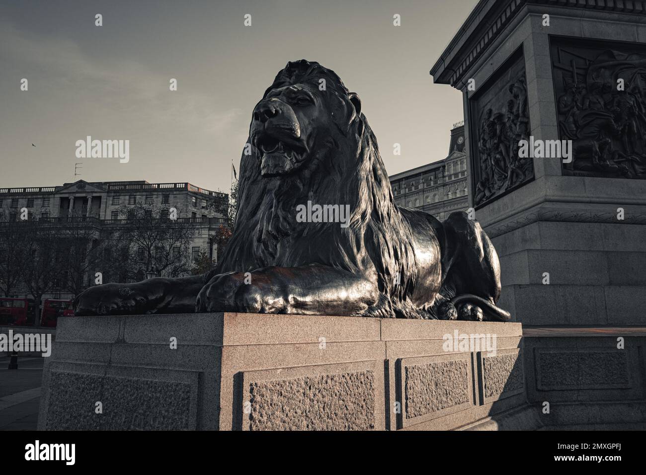 Lion in trafalgar square hi-res stock photography and images - Alamy