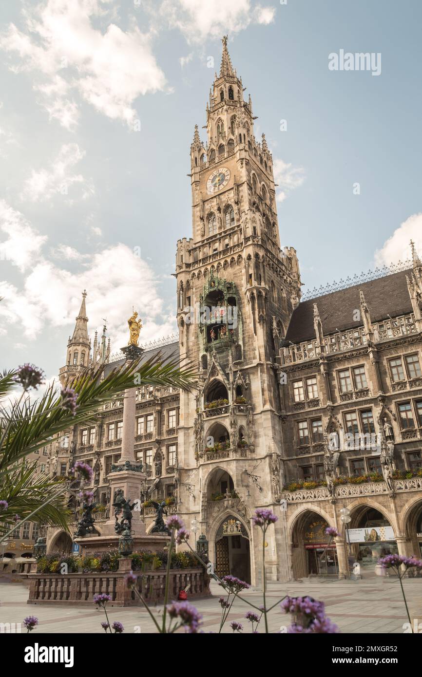 The Neue Rathaus (New Town Hall) is a magnificent neo-gothic building in Munich. Marienplatz is a central square in the city centre of Munich, Germany Stock Photo