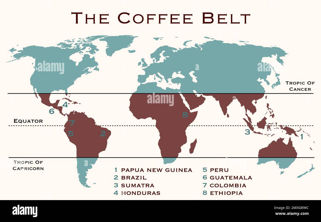 The area of the world, known as coffee belt, which includes the major