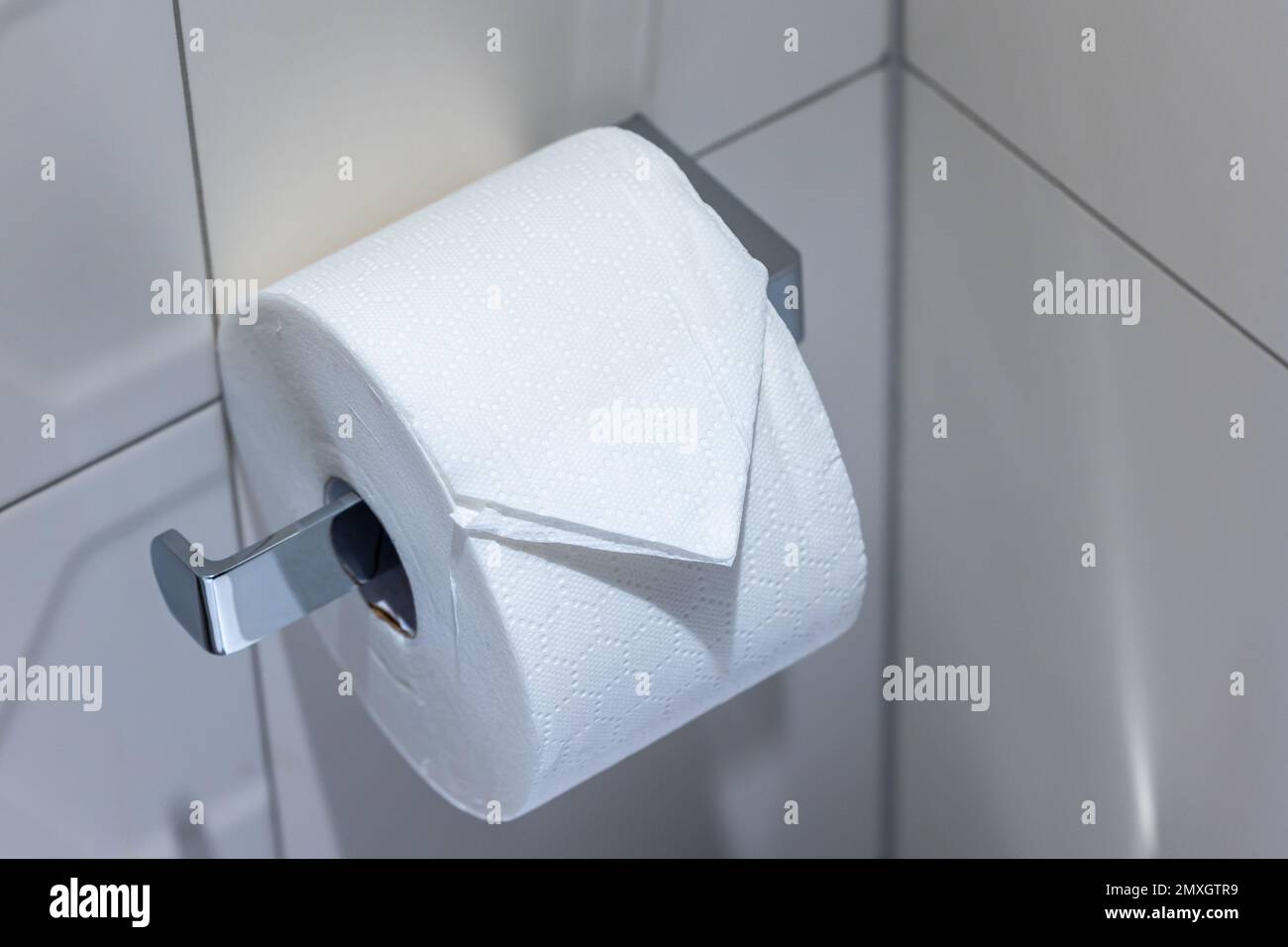 New roll of toilet paper on the holder in the toilet. Toilet finished with white tiles Stock Photo
