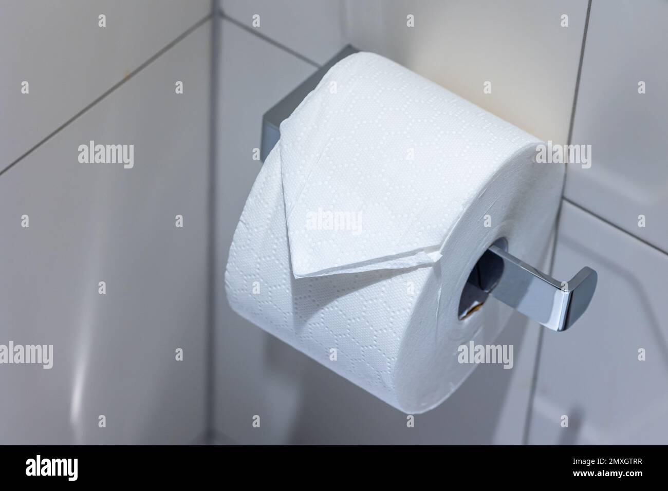 New roll of toilet paper on the holder in the toilet. Toilet finished with white tiles Stock Photo