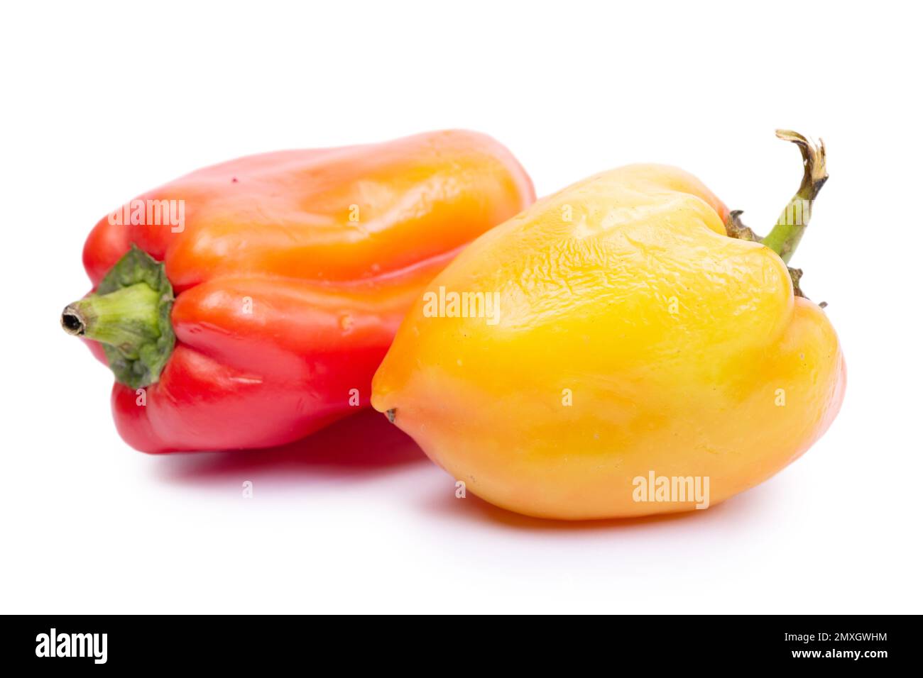 Two old bell peppers isolated on white background Stock Photo
