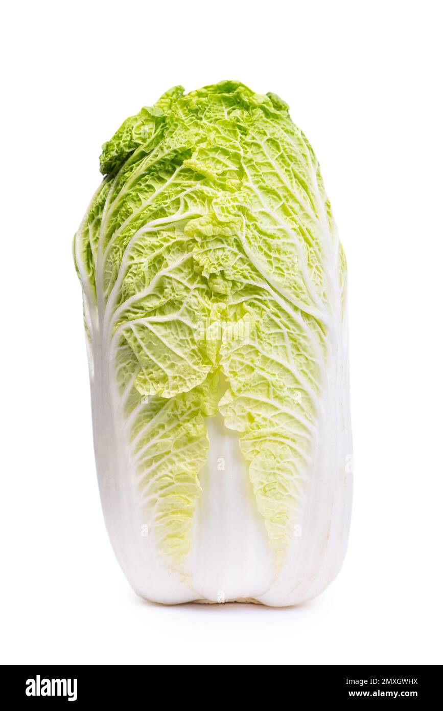 Chinese cabbage isolated on white background Stock Photo